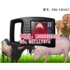 兽用B超使用说明，兽用B超使用方法