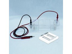 琼脂糖水平电泳槽（中号） 水平电泳槽 电泳槽  BLY-DYCP-32B