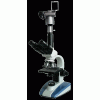 生物显微镜XSP-BM-2CEAS，上海BM显微镜