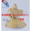 无灯具-供应SBF6105免维护节能防水防尘防腐灯