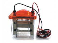 迷你垂直电泳仪 垂直电泳仪 电泳仪  HAD-BG-verMINI