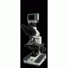生物显微镜XSP-BM-8CAS\上海彼爱姆8CAS