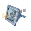 NFE9100防眩应急棚顶灯