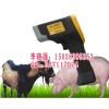 兽用红外线测温仪，动物体温计