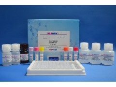 美国原装进口Beta-内酰胺酶快速检测试纸条