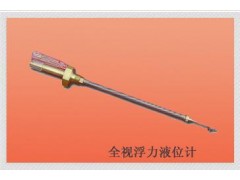 视浮力液位计/直读式液位计   HAD-FYJ-1