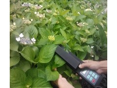 活体叶面积测量仪/活体叶面积检测仪 型号：LAM-B