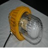 BPC8730/HN防爆平台灯油库专用灯 LED防爆泛光灯