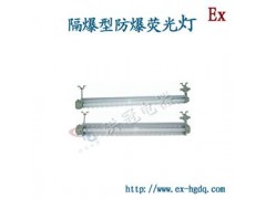 BAY52 隔爆型防爆荧光灯， 隔爆型防爆荧光灯报价