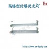 隔爆型防爆荧光灯