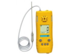 光离子化有机蒸气检测仪  HAD-MPID