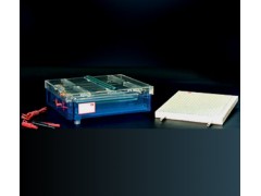 等电聚焦多用途电泳仪(槽)  BL/DYCP-37B