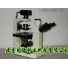 三目倒置生物显微镜