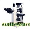 三目倒置生物显微镜/倒置生物显微镜
