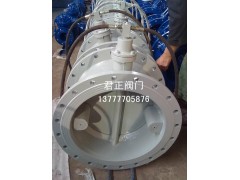 蝶式消聲止回閥，溫州蝶式消聲止回閥，蝶式消聲止回閥廠家