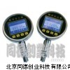 数字压力表/压力表