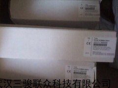 BL20-GW-DPV1,PROFIBUS-DP接口集成功能