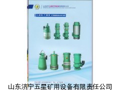 BQS矿用隔爆型排污排沙泵BQS15-70-7.5防爆潜水泵