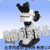 三目熒光顯微鏡/熒光顯微鏡/顯微鏡