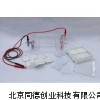 琼脂糖水平电泳仪/电泳槽