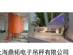 平台称重模块,称重模块系统安装调试,可实现各种称重方法
