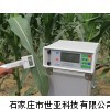 光合儀，植物光合作用測定儀，河北光合儀，北京光合儀