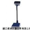 身高體重秤，電子人體秤，醫用體檢秤