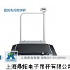DT残疾人电子轮椅秤,100kg轮椅地磅秤,轮椅电子称