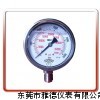 100US-CK01超高压压力表