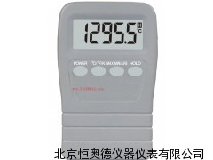 软件温度表/温度表/经济型温度表 SJT-6902 II