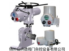 罗托克电动执行器IA20