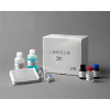 豚鼠白三烯D4(LTD4)  ELISA试剂盒价格促销