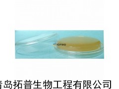 青岛拓普生物供应表面接触皿（90mm）TSAWLP