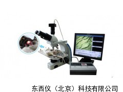 醫(yī)學(xué)圖像分析系統(tǒng)價(jià)格