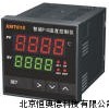 温控仪 温控仪 HAD-XMT615