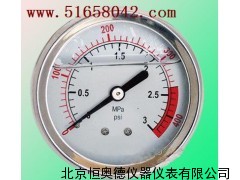 耐震压力表/耐震压力表/压力表 JH-YTN-100ZT