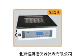 CH-X12A  铝模块自动消化装置