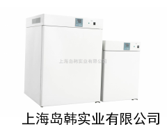 电热恒温培养箱 恒温培养箱 上海恒温培养箱
