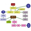 煤炭企業(yè)內(nèi)物流管理系統(tǒng) H14231