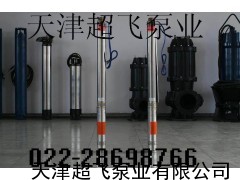 天津熱水潛水泵