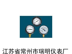 YZ-40Z轴向无边压力真空表