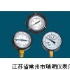 壓力表價格規(guī)格型號生產(chǎn)廠家選型參數(shù)