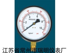 Y-150ZT一般压力表