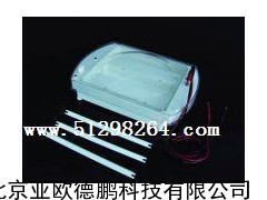 卧式水平电泳仪 水平电泳仪 电泳仪