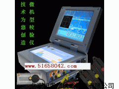 微机型三相电能表现场校验仪  ZY-DM232