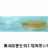 改良马丁琼脂培养基，成品培养基，topbiol