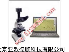 粉尘分散度测试仪/粉尘分散度检测仪/粉尘分散度测定仪