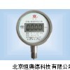 數(shù)字壓力表 壓力表 CCY-CYB-102