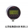 壓力計 壓力儀LP-DPG-100