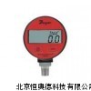壓力計 數(shù)字壓力表LP-DPGA系列